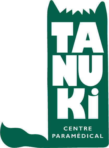 Logo Centre Tanuki