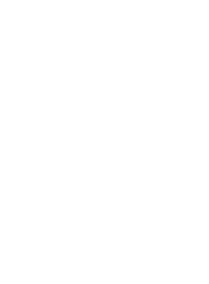Logo Centre Tanuki